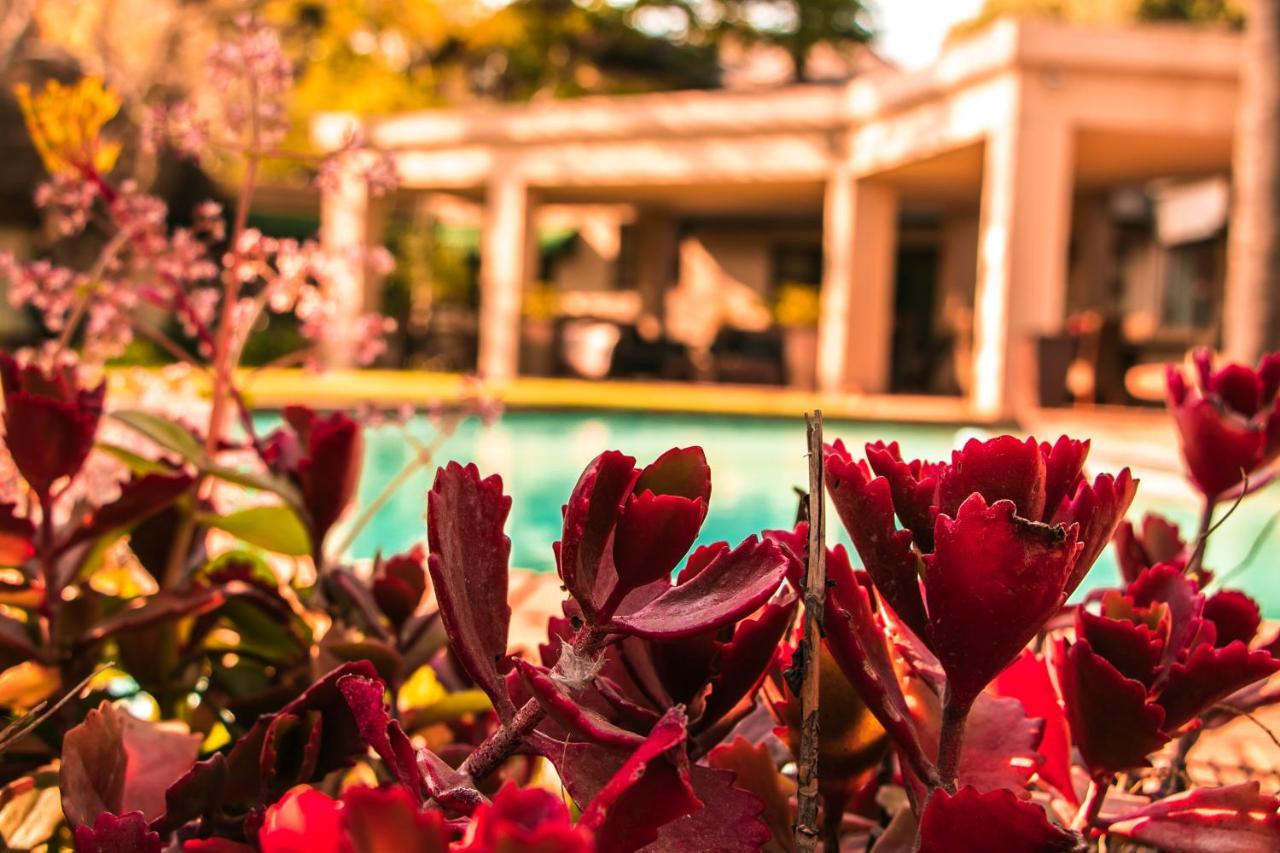 Lourie Lodge Sandton Esterno foto